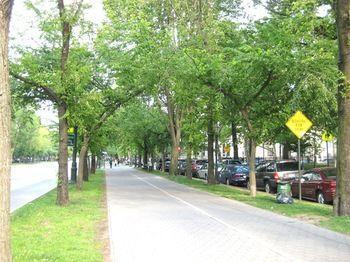 Dream Hostel New York Bagian luar foto